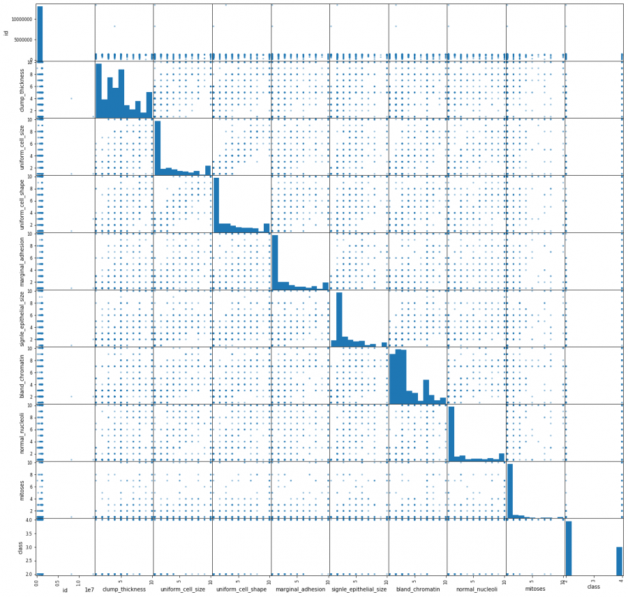 Scatter matrix of the dataset