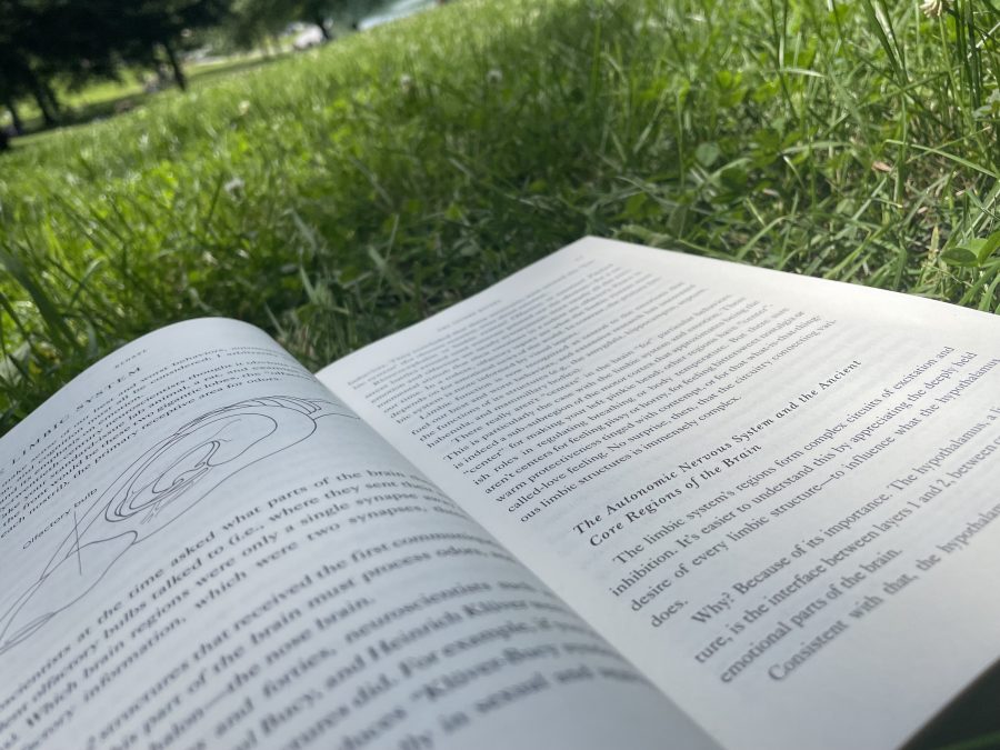 Reading on the grass